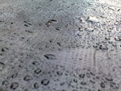 Белый дом